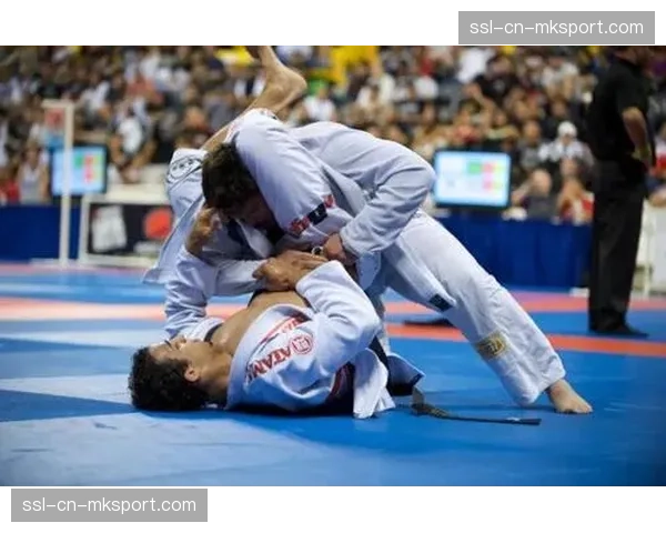 技术分析：地面缠斗依然是决定顶级比赛胜负的最重要因素